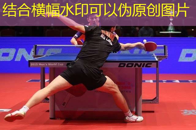 室內(nèi)健身顏色有幾種